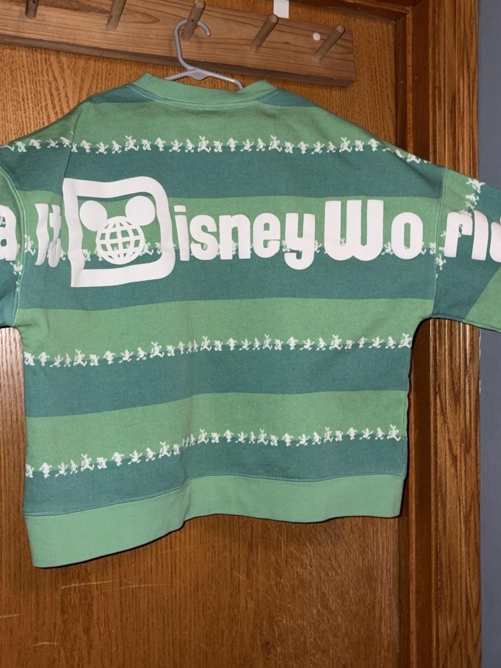 Disney Green Striped Kids Sweatshirt with White Disney World Logo